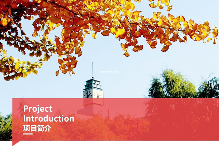 济南大学SQA3+1国际本科2025学年招生简章 第 3 张